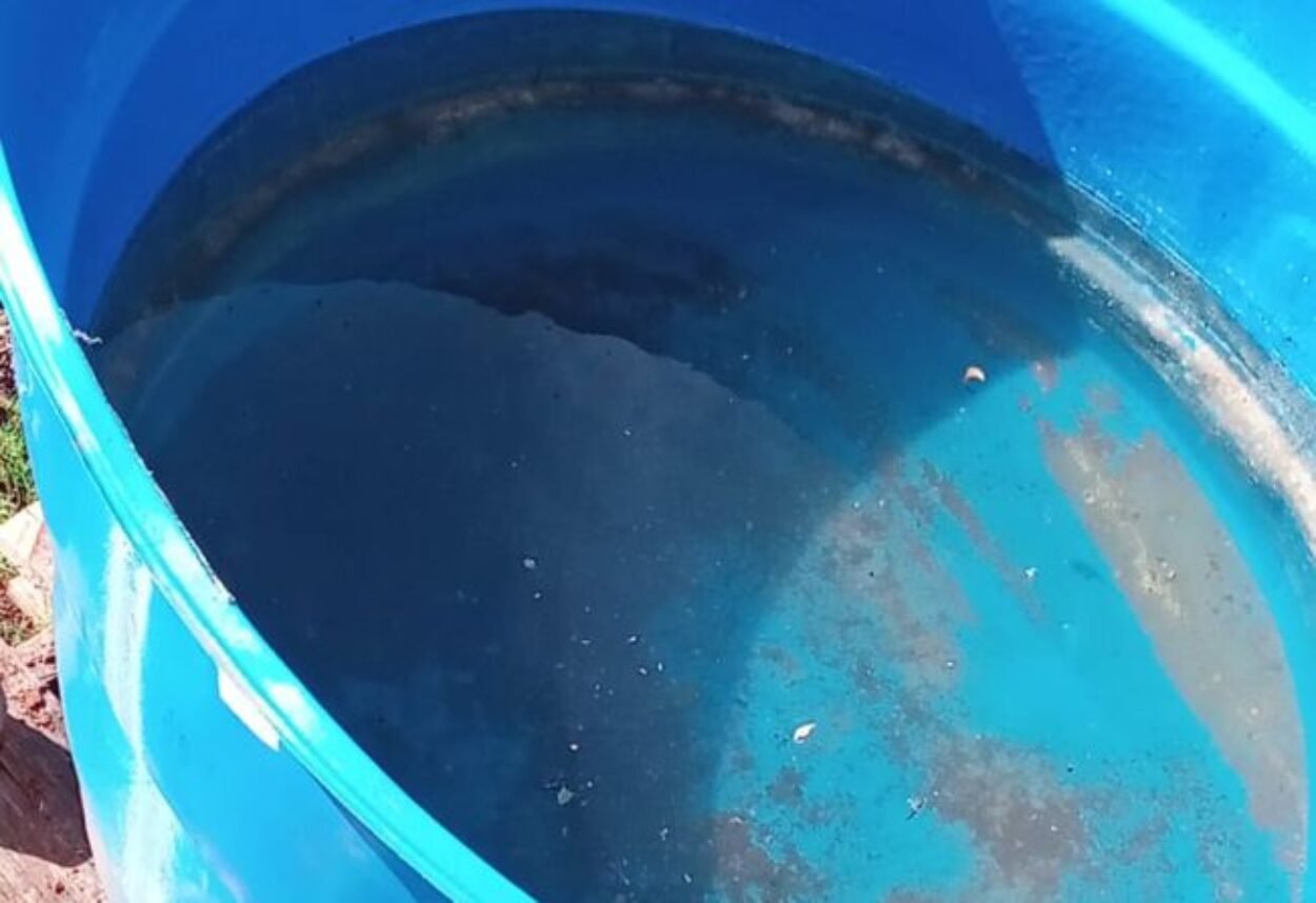 Grande quantidade de recipientes com água parada preocupa Secretaria Municipal de Saúde