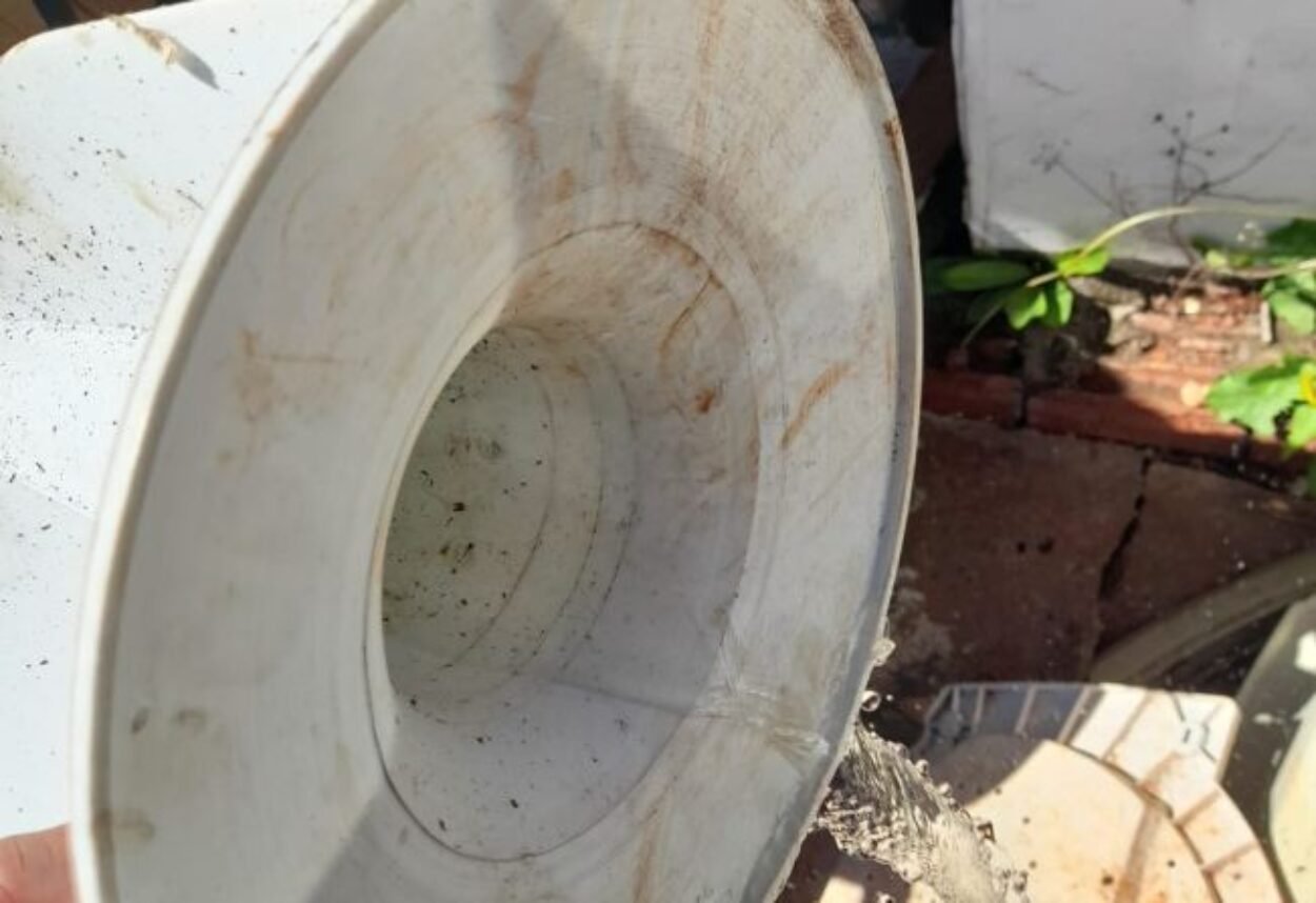 Cuidados com a Dengue