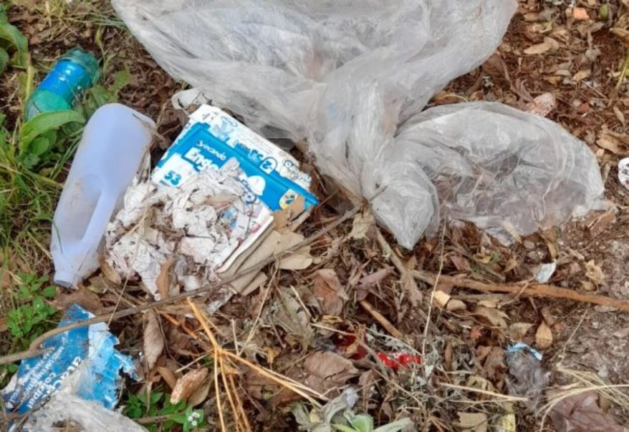 Mutirão de combate ao Aedes aegypti Mutirão de combate ao Aedes aegypti