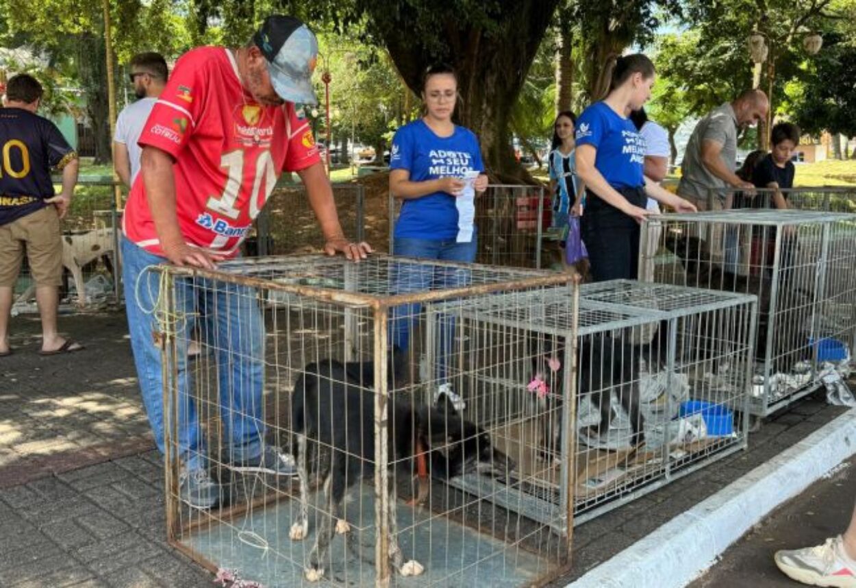 Ação da SMMA promove adoções de cães e coleta de 800 kg de lixo eletrônico