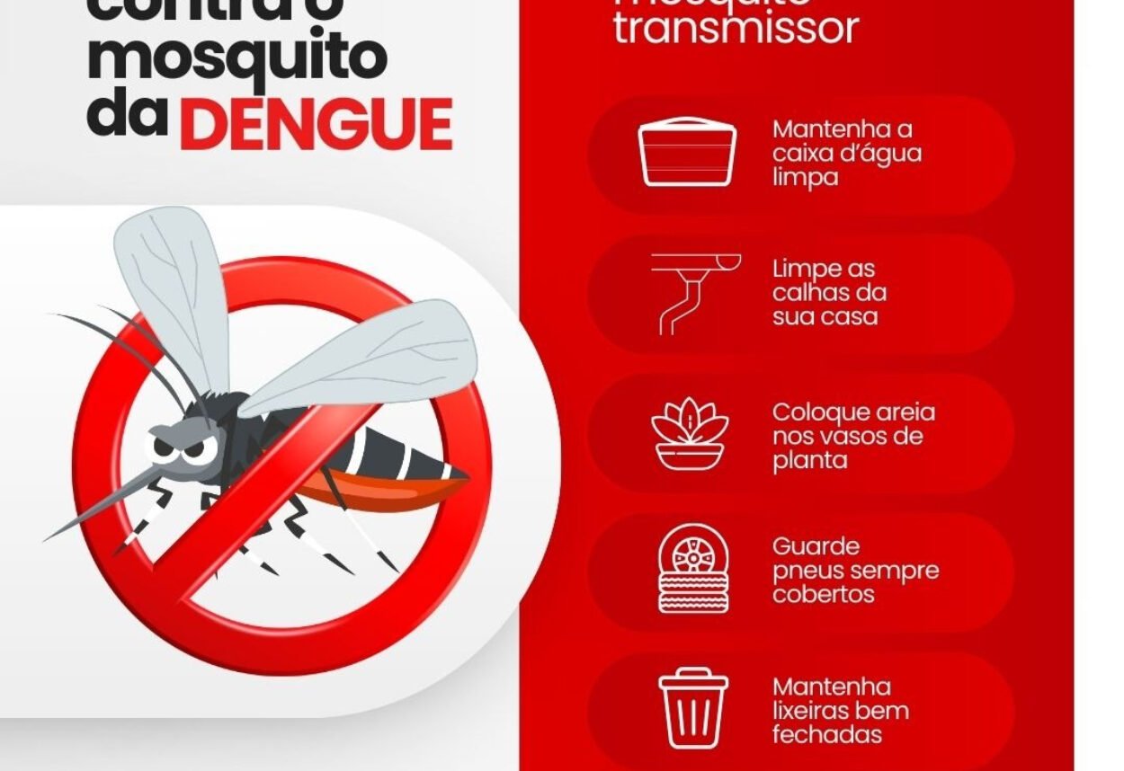 Dengue: Fique atento (a) para as principais medidas de prevenção!