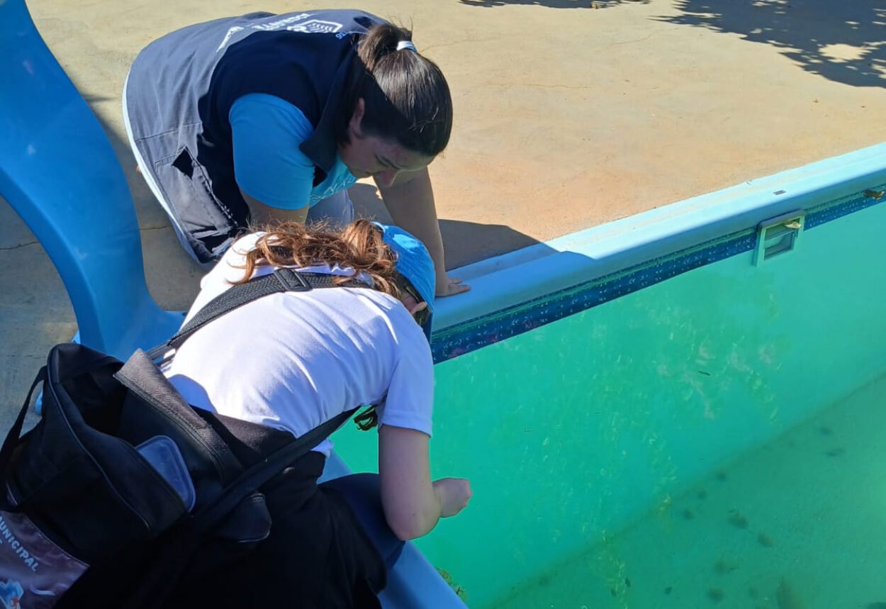 Resultado do LIRa aponta para risco alto de proliferação do mosquito da dengue Resultado do LIRa aponta para risco alto de proliferação do mosquito da dengue