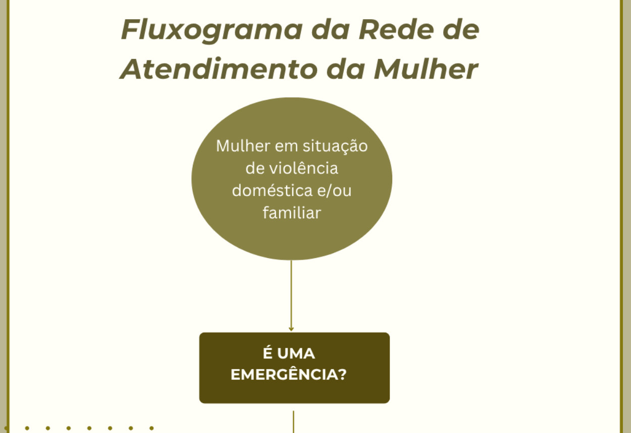Conselheiras do Comdim definem ações descentralizadas Conselheiras do Comdim definem ações descentralizadas